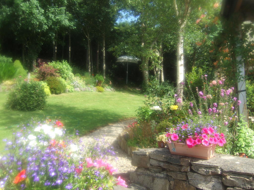 Elderberry B&B Westport Exterior photo