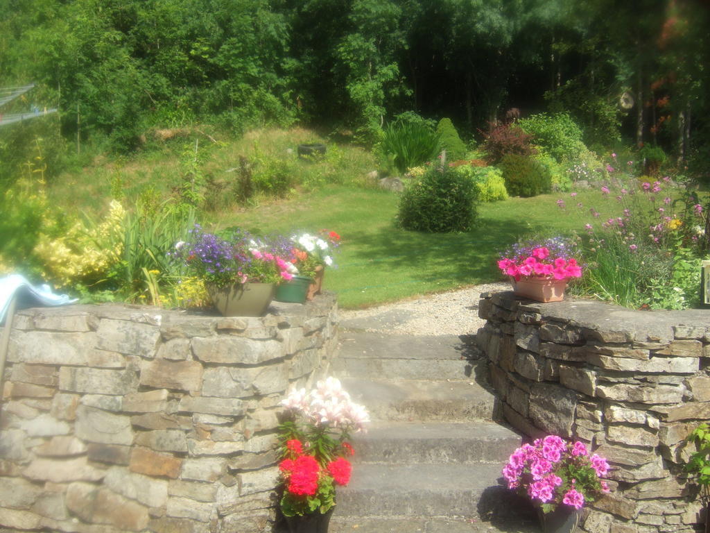 Elderberry B&B Westport Exterior photo