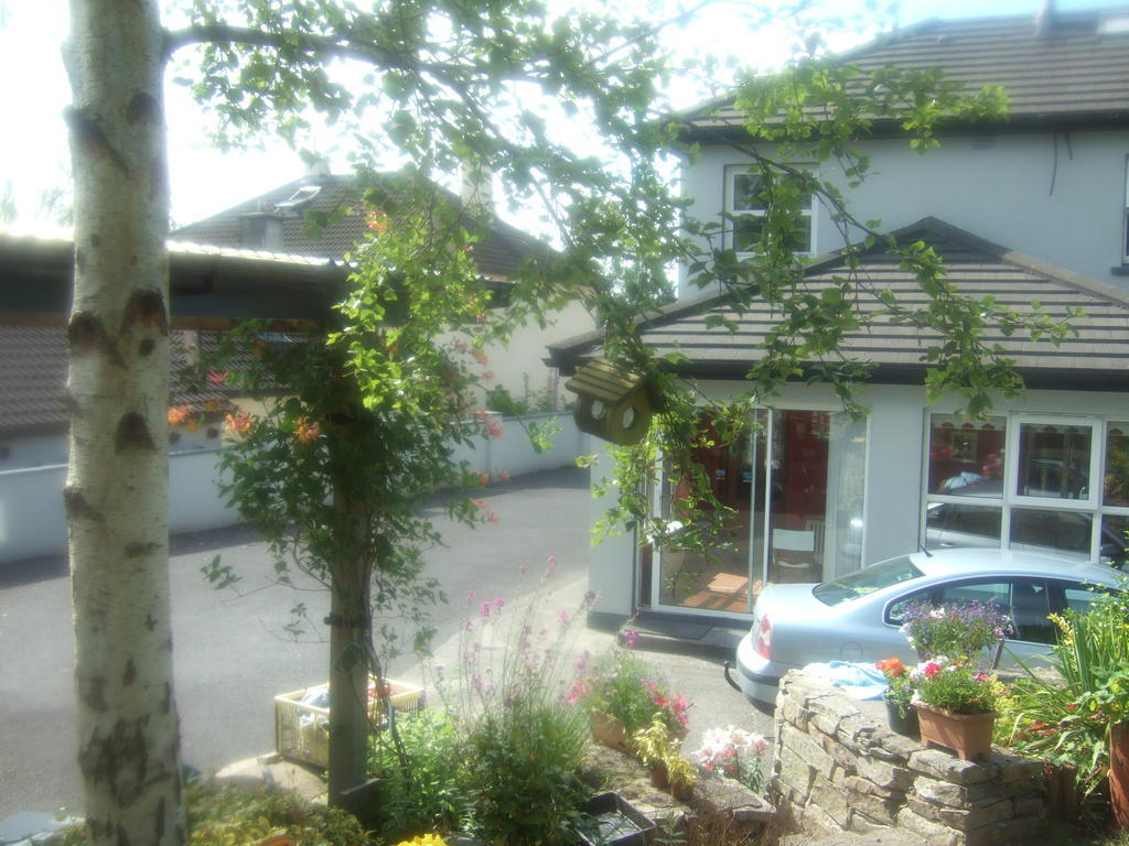 Elderberry B&B Westport Exterior photo