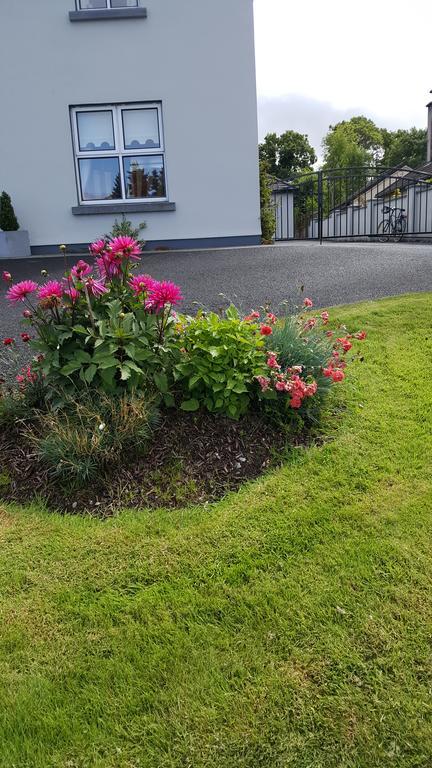 Elderberry B&B Westport Exterior photo